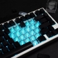 Black White Rose 131+21 PBT Dye-subbed PC Crystal Clear Backlit Cool Keycaps Set Screen Printing Doubleshot Side Legends